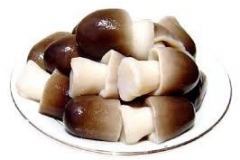 Canned-Straw-Mushroom