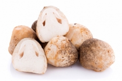 Half-cut-Straw-Mushroom