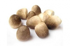 Straw-mushroom