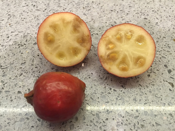 Half-cut-Strawberry-guava