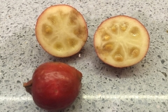 Half-cut-Strawberry-guava