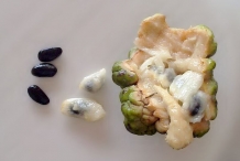 Sugar-Apple-with-flesh-and-seeds
