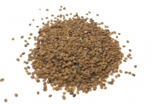 Sweet-Alyssum-seeds