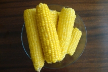 Sweet-corn-cobs
