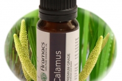 Sweet-Flag-essential-oil