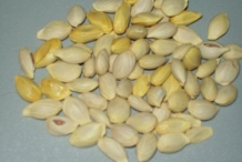 Sweet-lime-seeds