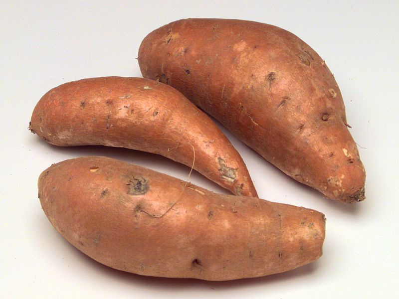 Sweet-potato-rhizomes