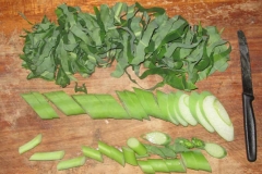 Small-pieces-of-Tahitian-Taro-plant