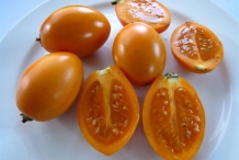 Orange-Tamarillo
