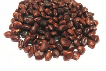 Tamarind-seed