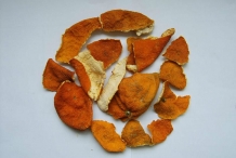 Dried-Tangerine-peel