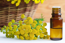 Tansy-essential-oil