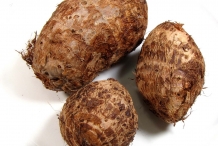 Taro-rhizomes
