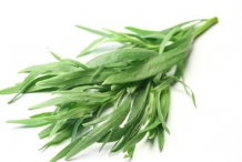 Tarragon-leaves