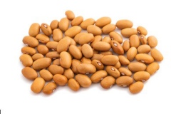 Seeds-of-Tepary-bean