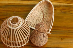 Products-of-Thorny-bamboo
