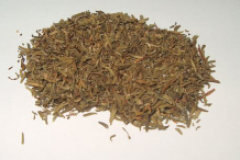 Dried-Thyme-herb