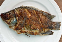 Whole-fried-Tilapia-fish