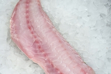 Tilefish-fillet