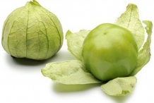 Tomatillo