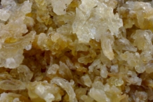 Tragacanth- Gummitragant