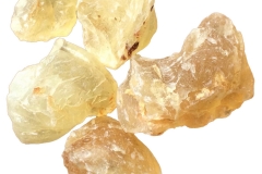 Tragacanth-Gomme Adragante