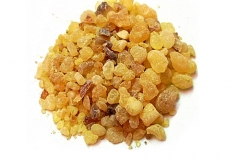 Tragacanth - Gond katira