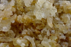 Tragacanth- Gummitragant