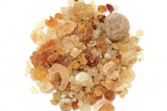 Tragacanth
