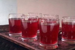 Tree-rhododendron-juice