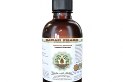 Extract-prepared-from-Turkey-Tail-mushroom