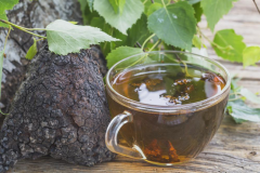 Turkey-Tail-mushroom tea