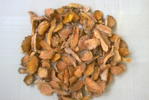 Dried-Turmeric