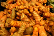 Turmeric-root