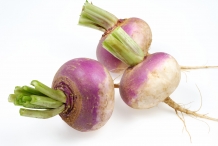 Turnip-bulbs