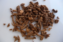 Valerian-root-dried