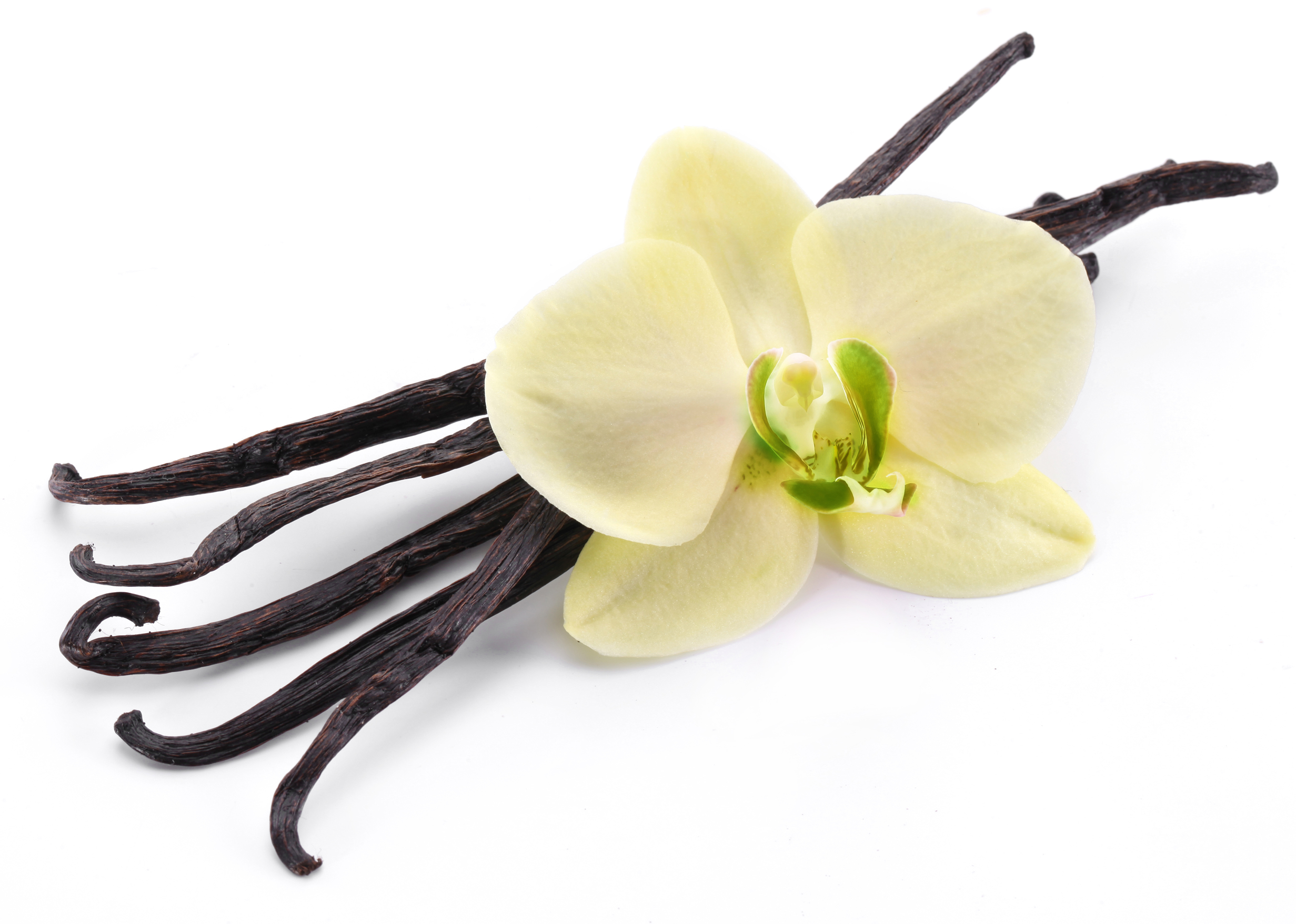 vanilla-facts-and-health-benefits