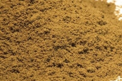 Bark-powder-of-Varuna
