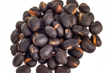 Seeds-of-Velvet-beans