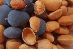 Velvet-Tamarind