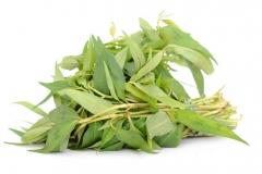 Bunch-of-Vietnamese-coriander