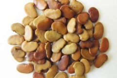 Seeds-of-Vietnamese-rosewood