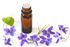 Essential-oil-of-Violet-plant