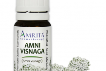 Amni-visnaga-essential-oil
