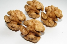 Walnut-flesh