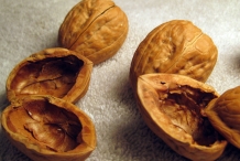 Walnut-shell