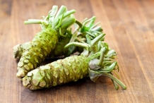 Rhizomes-of-Wasabi