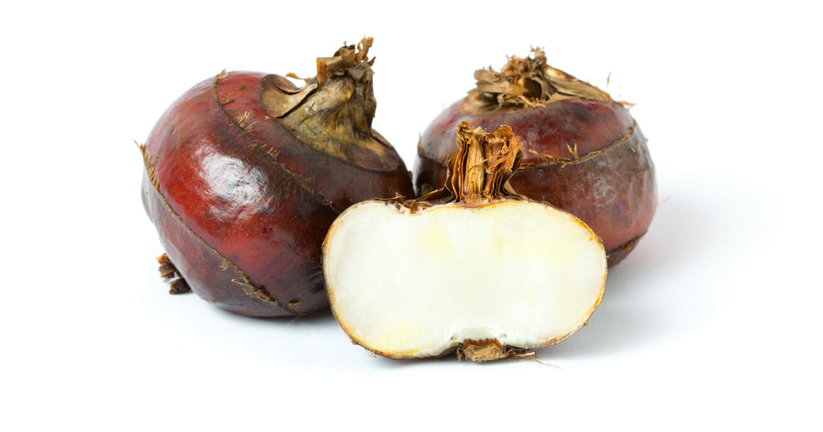 Half-cut-Water-chestnut