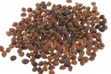 Seeds-of-Water-spinach