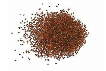 Seeds-of-Watercress